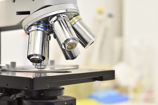 評價聚氨酯泡沫表皮增厚劑對冷鏈物流車廂隔熱層表面密實程度及防潮性的提升